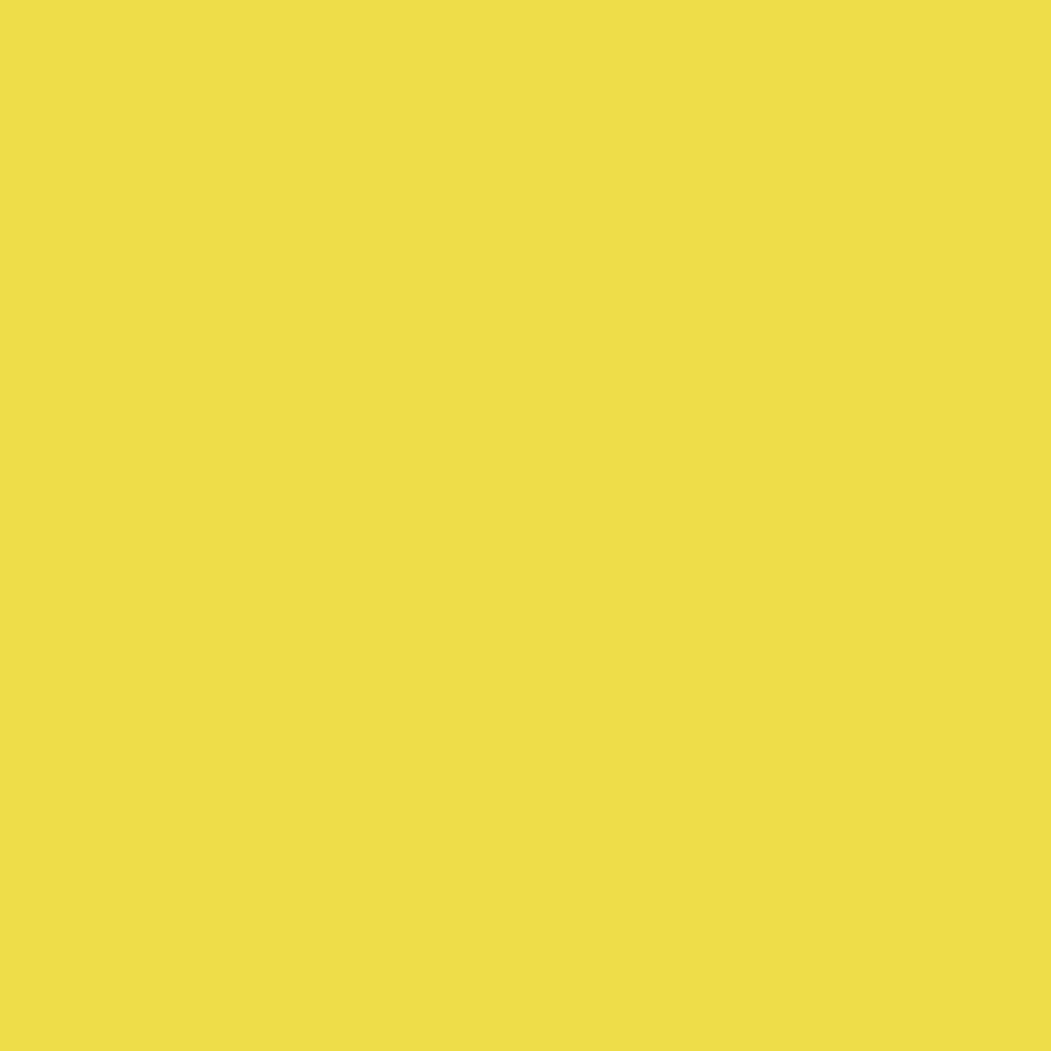Mediocre StudiosScale75 Paint - Wasp Yellow (17ml)Model Paint